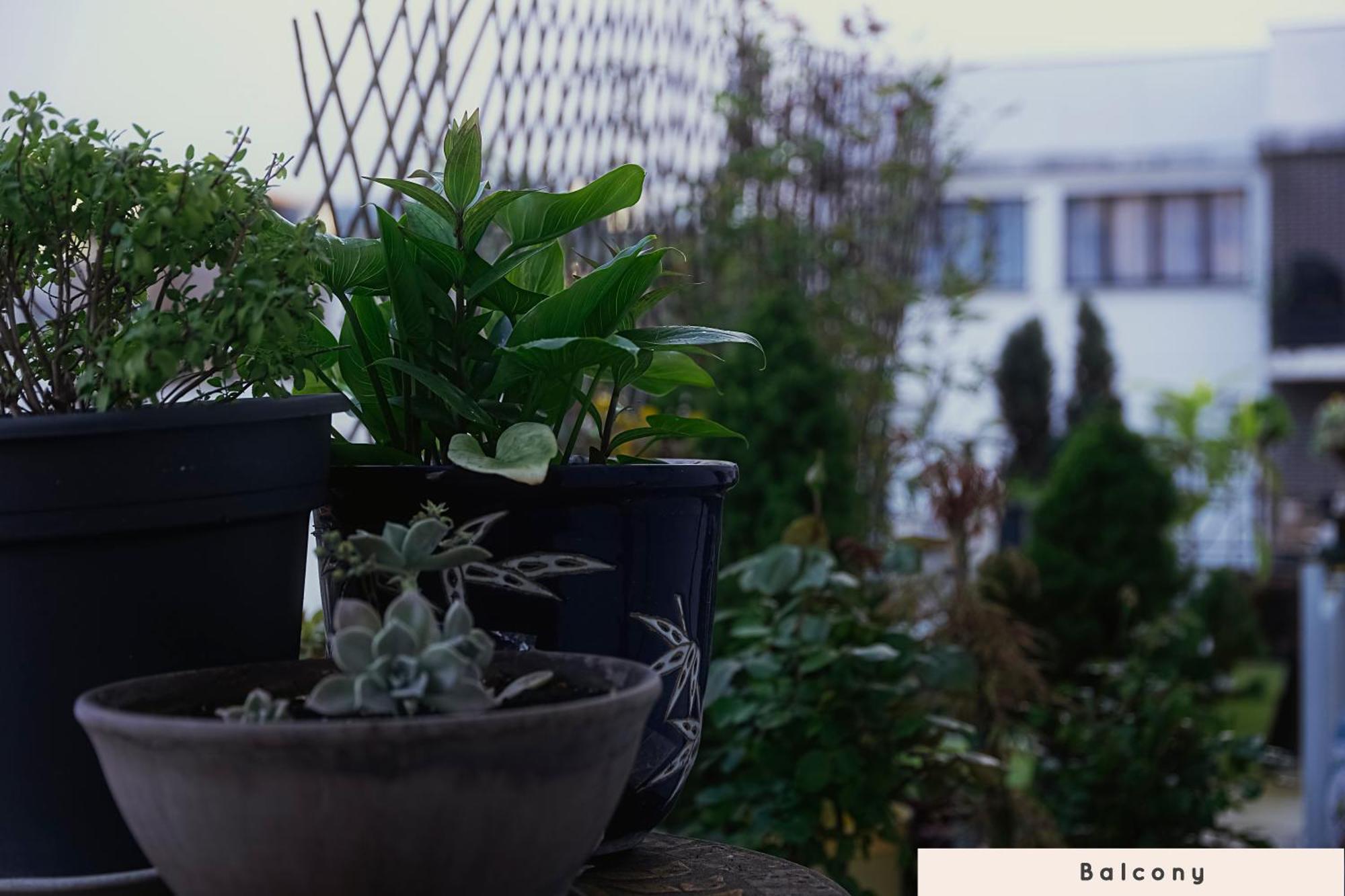 Cosy Coliving Space Near Paris *